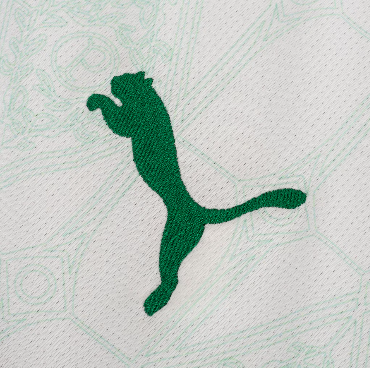 Camisa Palmeiras ll 25/26 - Jogador