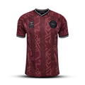 Denmark Jersey Home 2024/2025